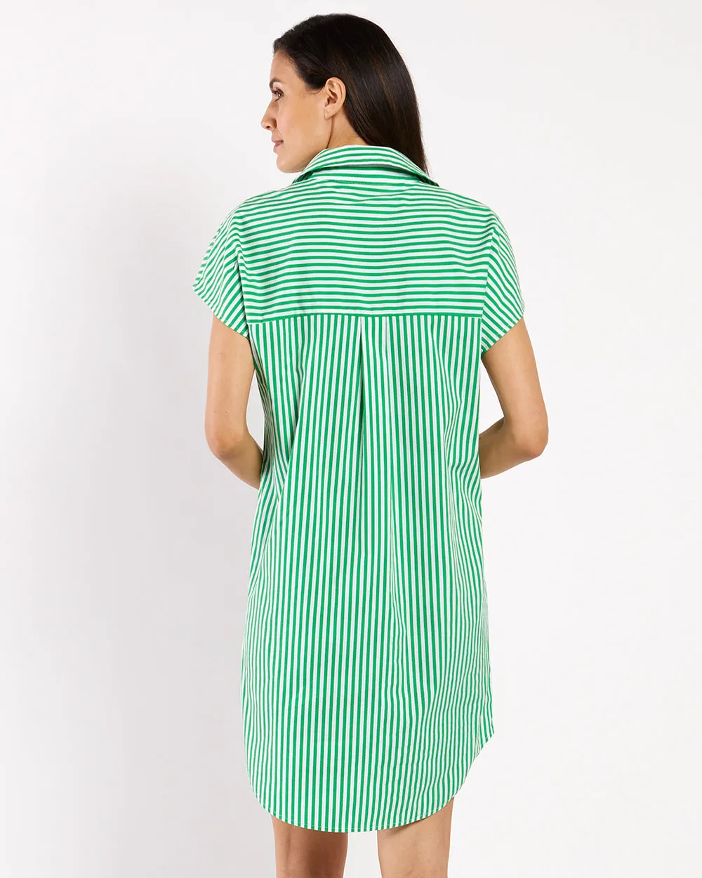 Carter Cotton Shirting