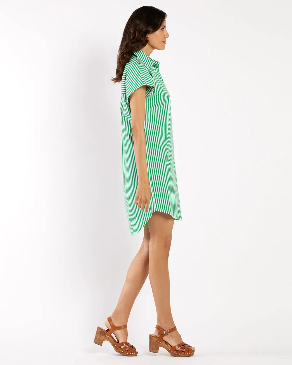 Carter Cotton Shirting